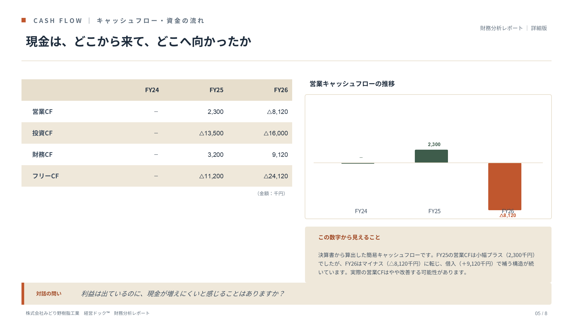 財務分析レポート サンプル 5ページ
